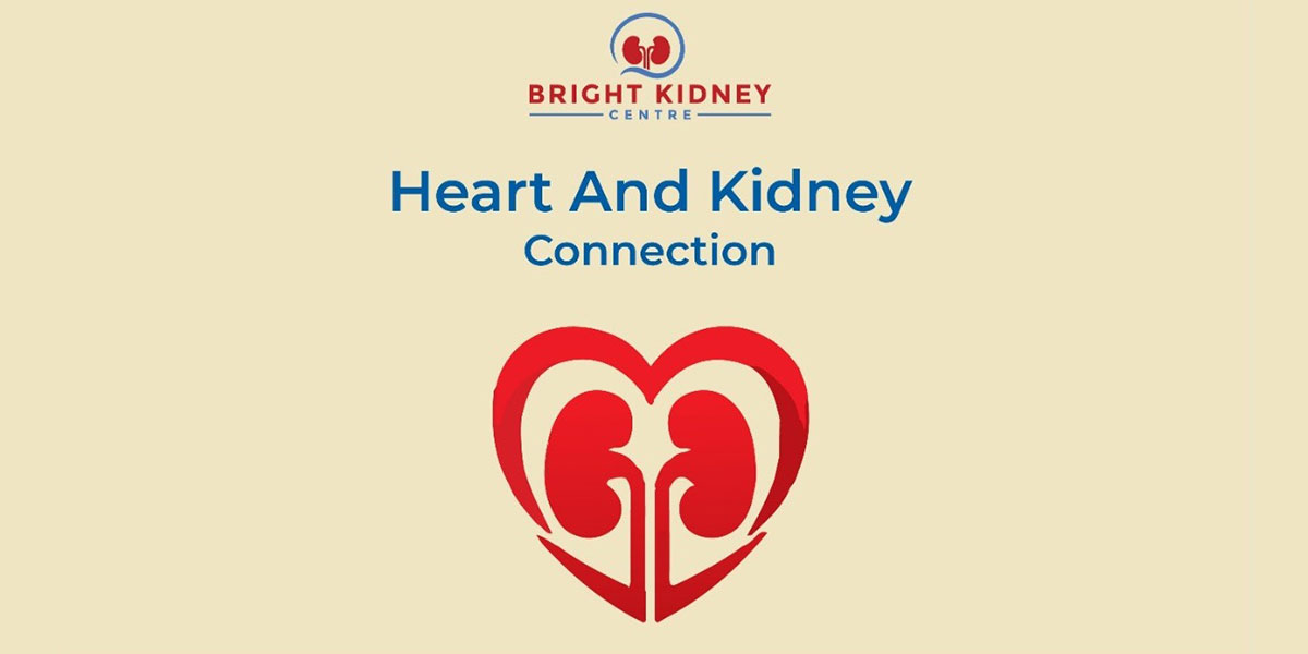 Heart and Kidney Connection