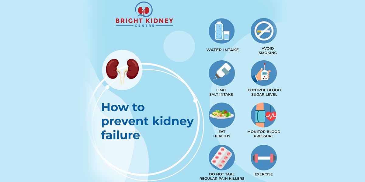  How To Prevent Kidney Failure Bright Kidney
