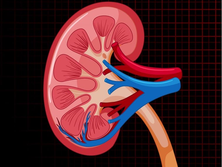 symptoms of kidney disease