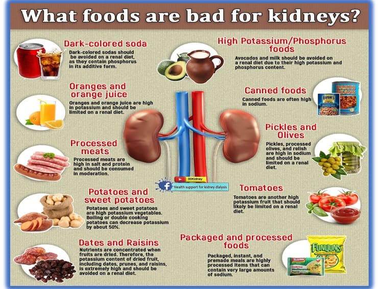 Diet in Kidney Disease